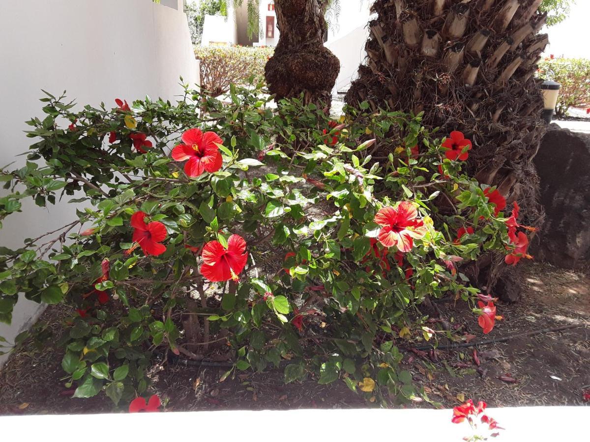 Ferienwohnung Le Parisien Costa Teguise Exterior foto