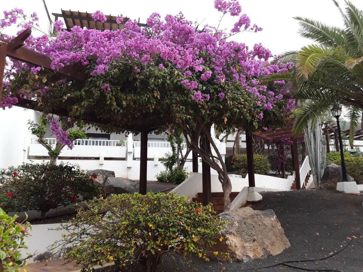 Ferienwohnung Le Parisien Costa Teguise Exterior foto